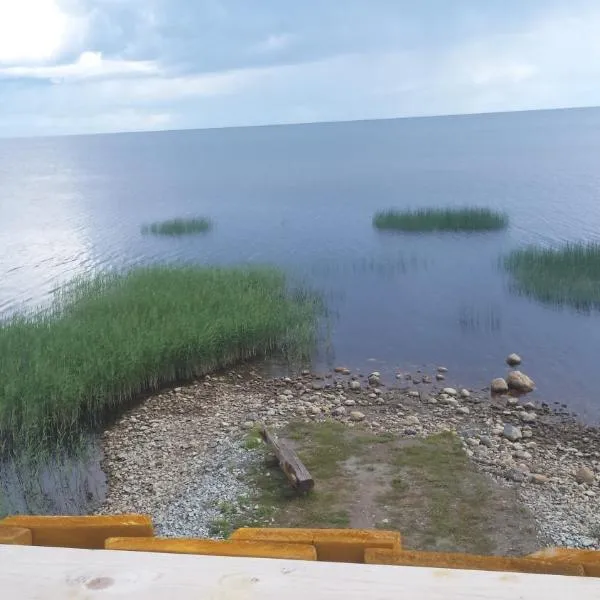 Tammispää Camping, hotel in Lohusuu