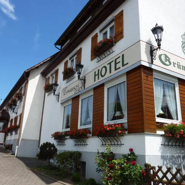 Hotel Landgasthof Grüner Baum, hotel in Oberessendorf