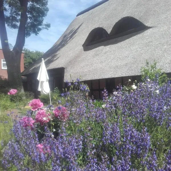 Apartment-unter-Reet, hótel í Kiel