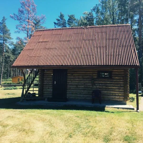 Guest House Viesu Māja Klētnieki, hotel v destinaci Ģipka