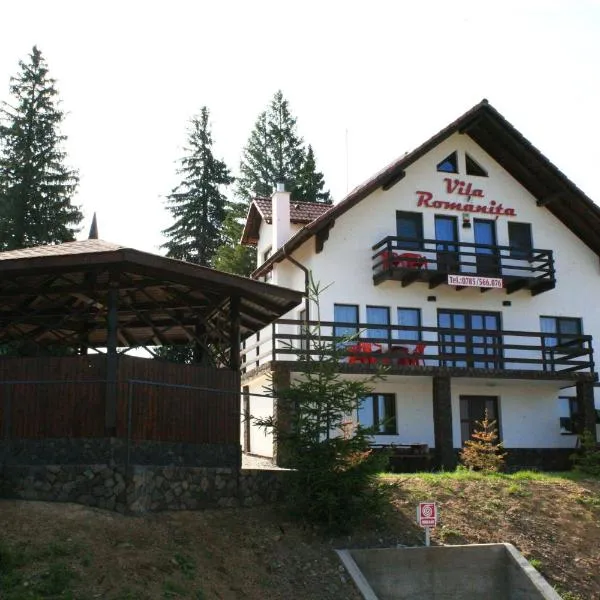 Vila Romanita, hotel en Păltiniş