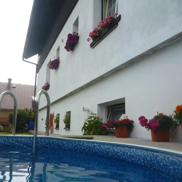 Pension Pugner, hotel i Vysoké nad Jizerou