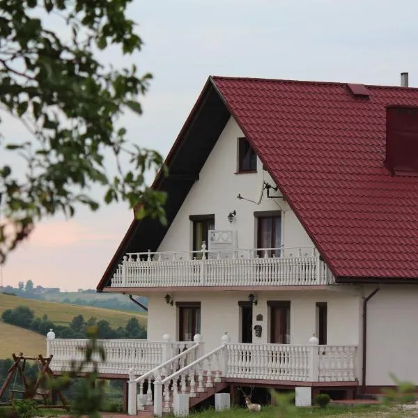 Grand Panorama, hotel in Wiśniowa