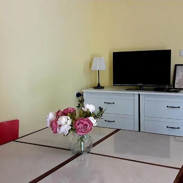 LeSaNel - Guest House, hotel in Arad