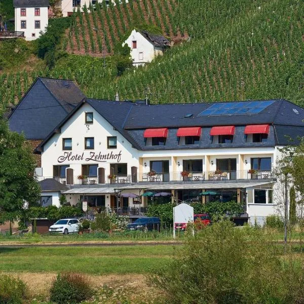 Hotel Zehnthof, hotel in Springiersbach