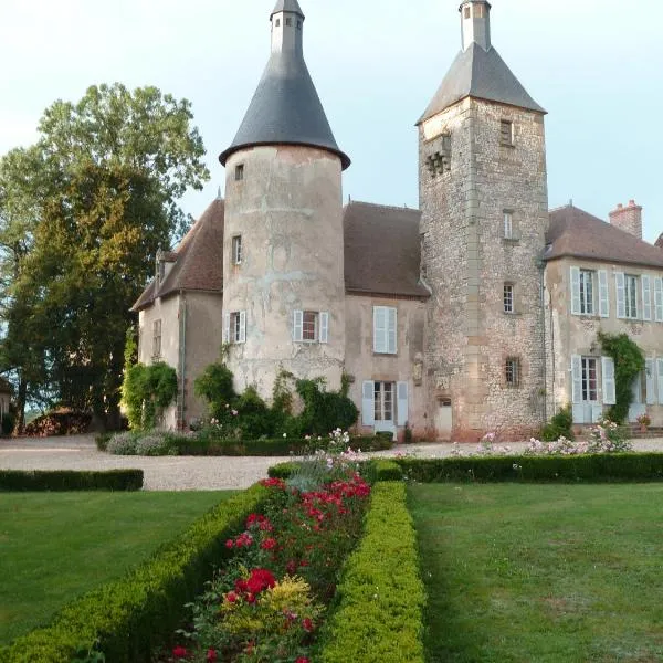 Château de Clusors, hotel en Saint-Menoux