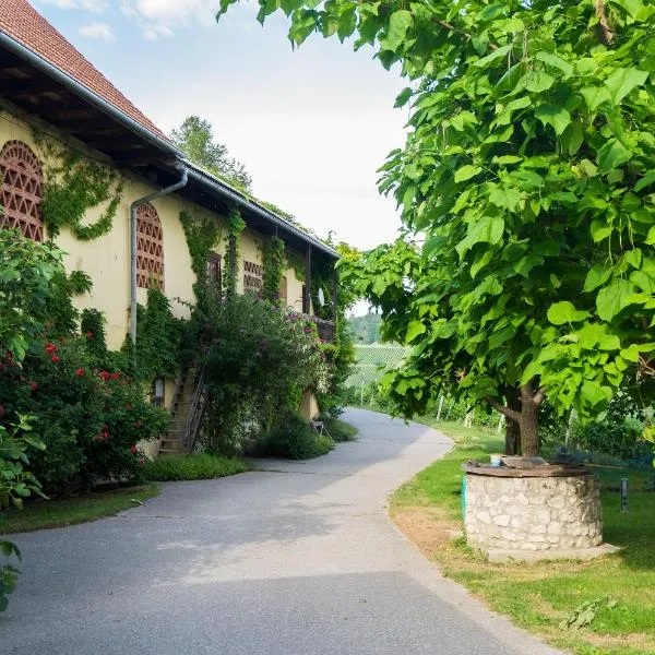 Viesnīca Turistična kmetija Vrezner Apartment pilsētā Zgornja Kungota