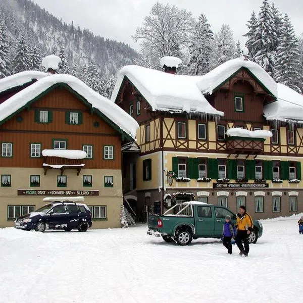 Jugendgästehaus Gosauschmied, hotel v Gosau