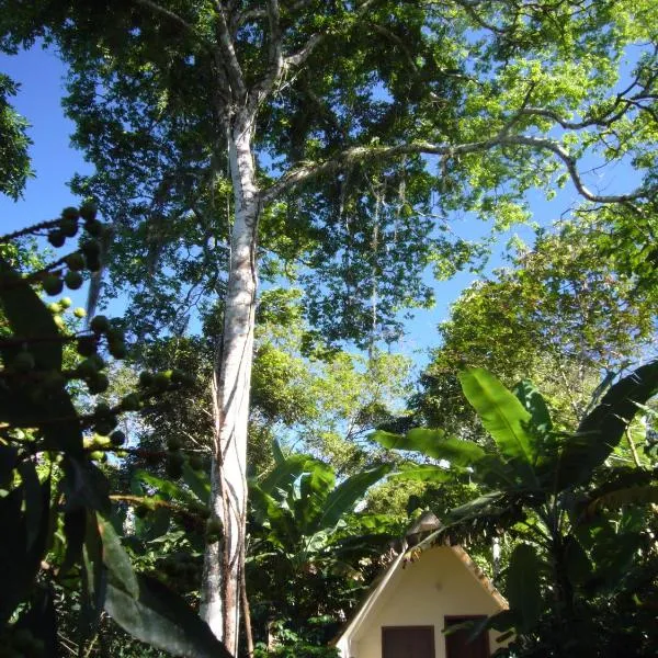 Chalés Sítio do Alemão, hotel em Ubajara