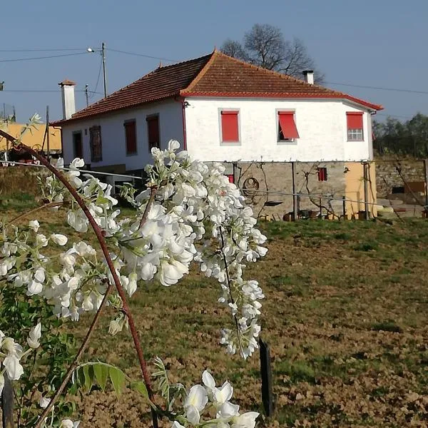 Casa da Vinha Grande, hotel en Poiares