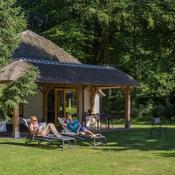 Molecaten Park De Leemkule, hotel v destinaci Hattem