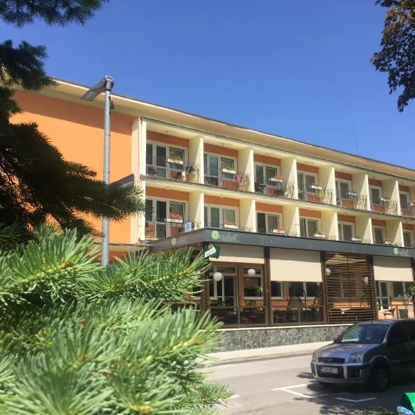 Hotel Rezident, khách sạn ở Turčianske Teplice