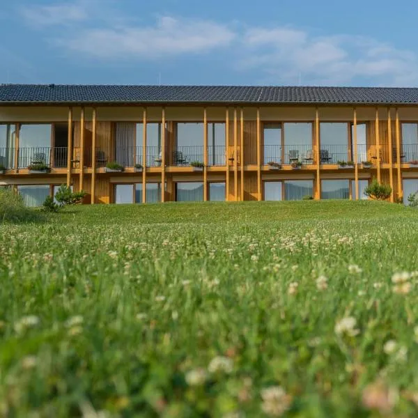 Hotel Die Alm, hotel v destinaci Oberkirch