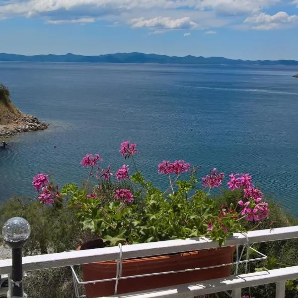 Apartmani Kunjasic, hotell i Trstenik