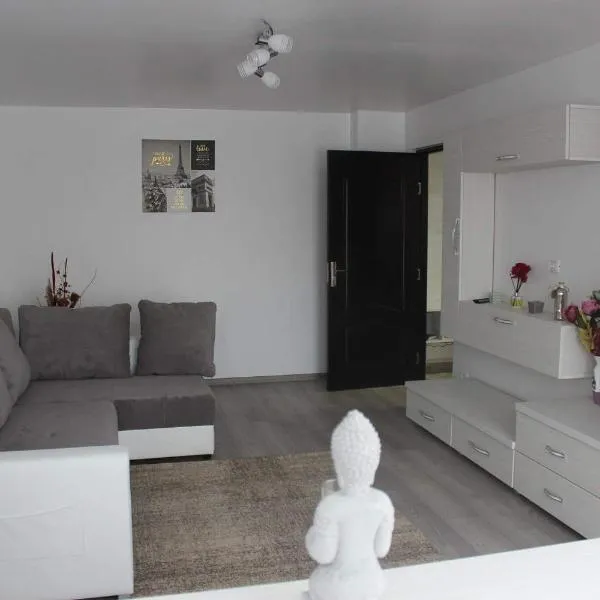 Apartament Anais, hotel in Călimăneşti