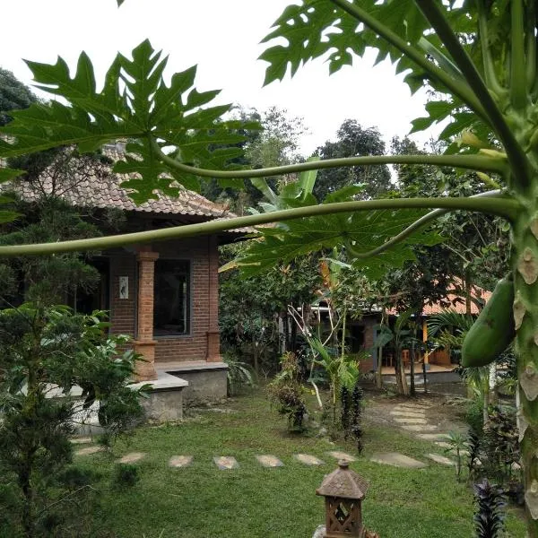 Dina Homestay, hotel v destinaci Jatiluwih