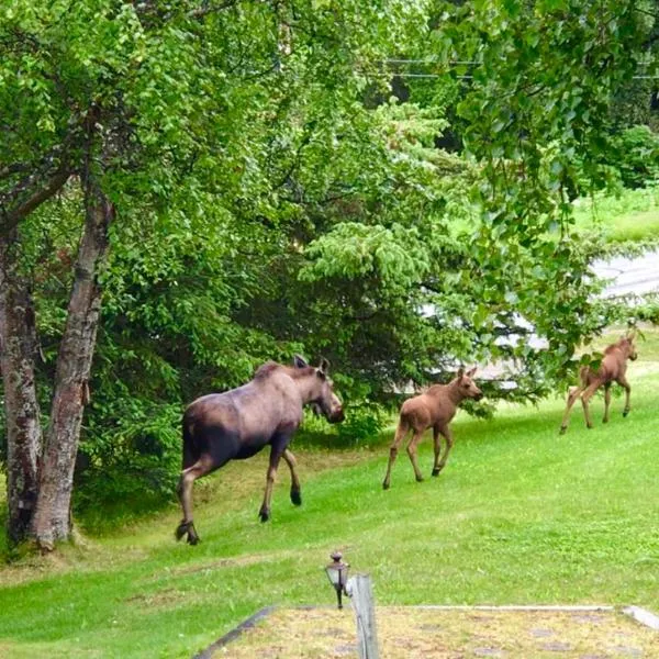 Halcyon Heights B&B/Inn, hotell i Fritz Creek