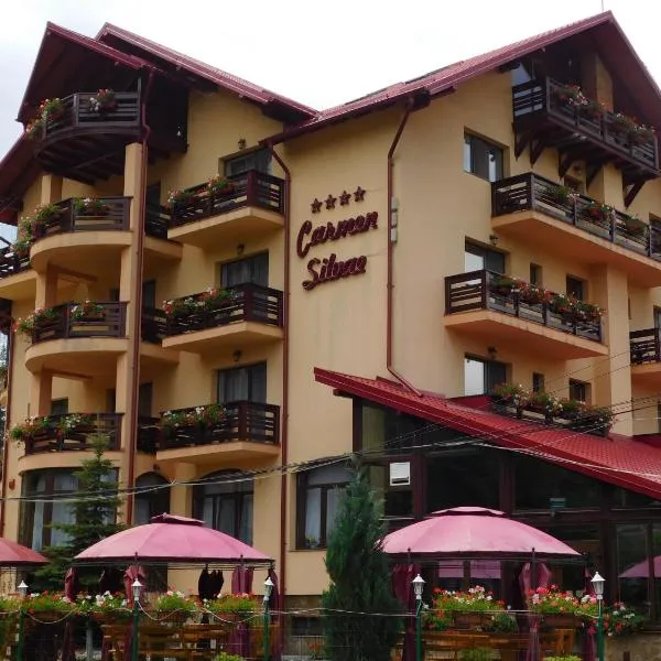 Pensiunea Carmen Silvae, отель в городе Văleni-Stînişoara