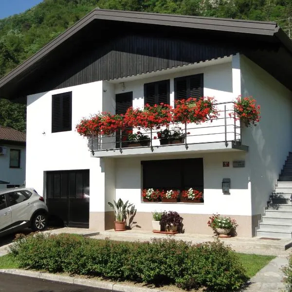 Apartma Jezero, hotel v destinaci Most na Soči