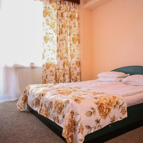 Hotel Silva, hotel v destinaci Vatra Dornei