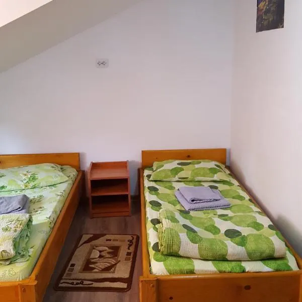 Casa Borcean, hotell i Sasca Română