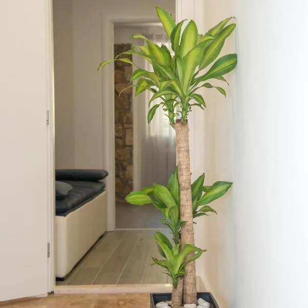 Luxury apartments Petrovac, hotel v destinaci Sinj
