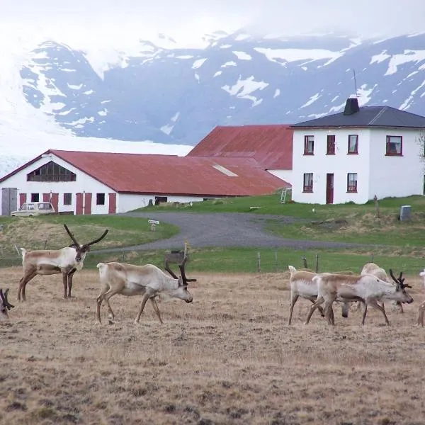 Guesthouse Holmur, hotel em Flatey