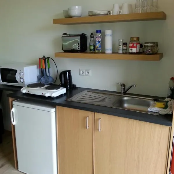 Guesthouse Hvítafell, hotel v destinaci Laugar