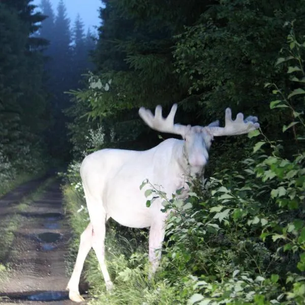 Lövås Gård Koppera, hotel em Charlottenberg