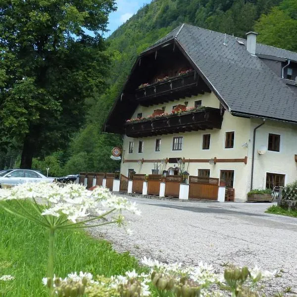 Gasthof Steinbräu, hotel en Faistenau