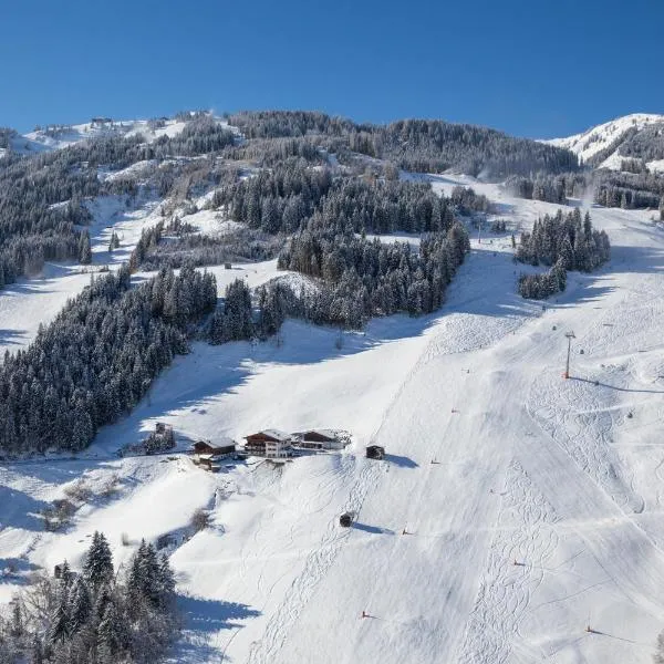 Pension Hedegghof, hotel v destinaci Grossarl