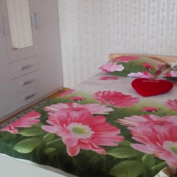 Frendlen Papiniidu Apartment, hotel in Pärnu