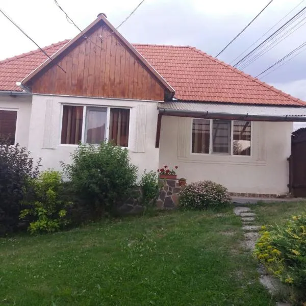 Maksai Vendégház, Hotel in Ocna de Sus