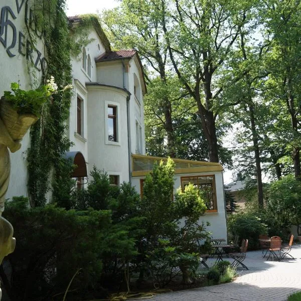 Hotel Villa Herzog, hotel Radebergben