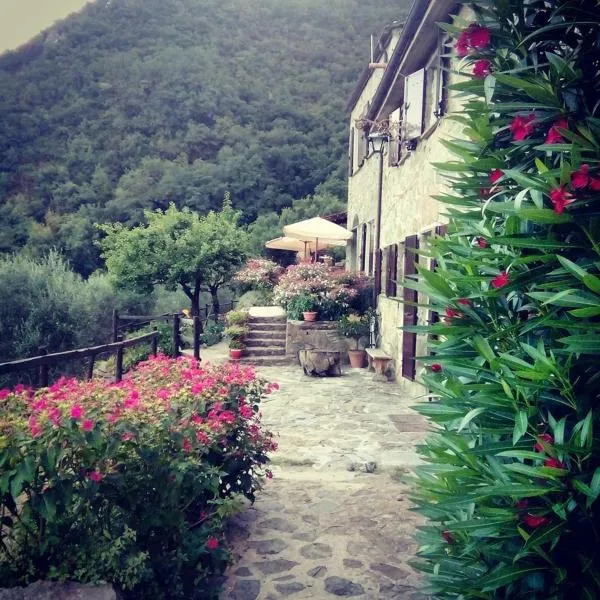 Farmhouse B&B Castagnola 64, hotel a Ne