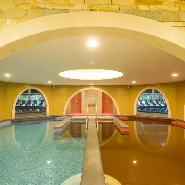 Aquaticum Debrecen Termal & Wellness Hotel, hotel in Hajdubagos