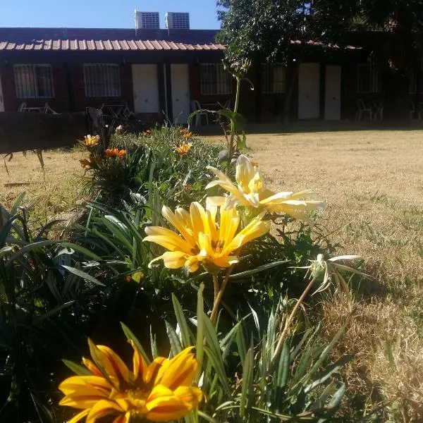 posada cerro los nogales, hotel in Usno