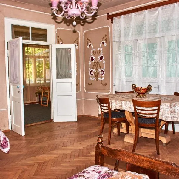 Nukri Guest House, hotel in Patara-Goridzhvari
