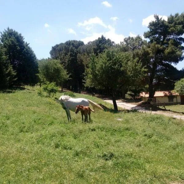 Agriturismo Bosco Pianetti, מלון בCollesano