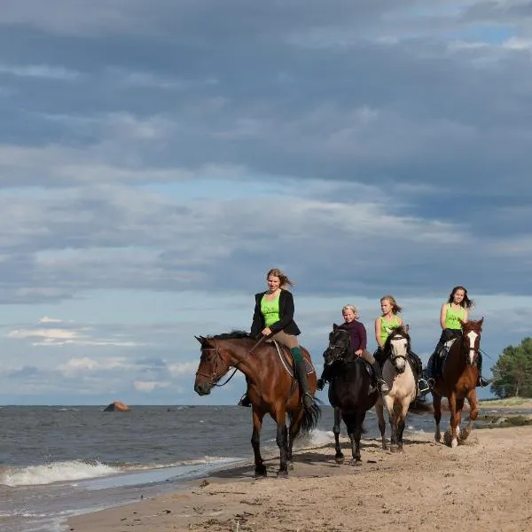 Arma Riding Farm And Holiday Home, hotel in Rutja