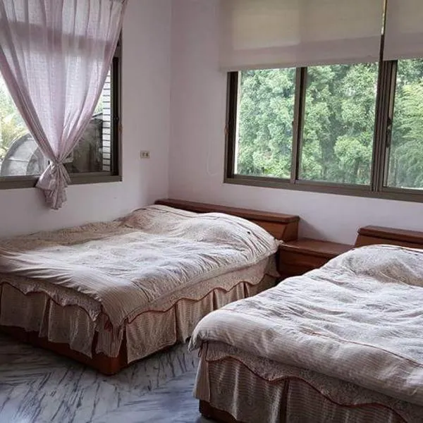 Half Sky Lin Yuan Homestay、鹿谷郷のホテル