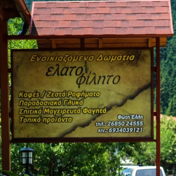 Hotel Elatofilito, hotel en Athamanio