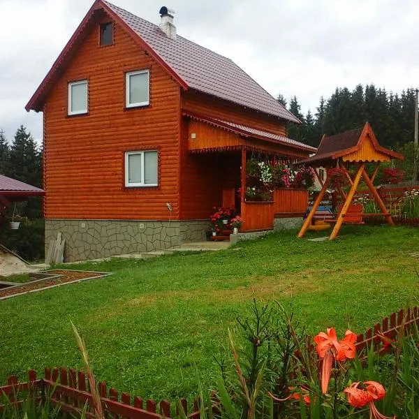 Romashka Guest House, hotel v destinaci Jablunycja