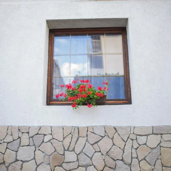 Apartment Raza, hotel in Konjic