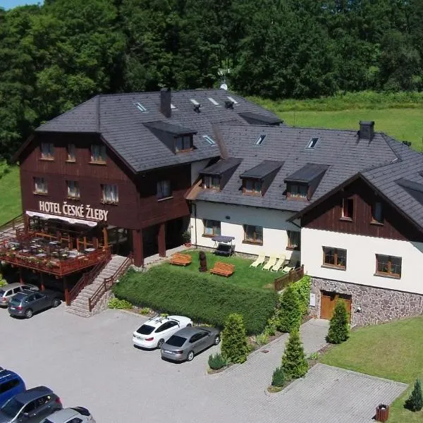 Hotel České Žleby, hotel in Strážný