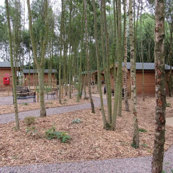 Riddings Wood lodges, hotel din Alfreton