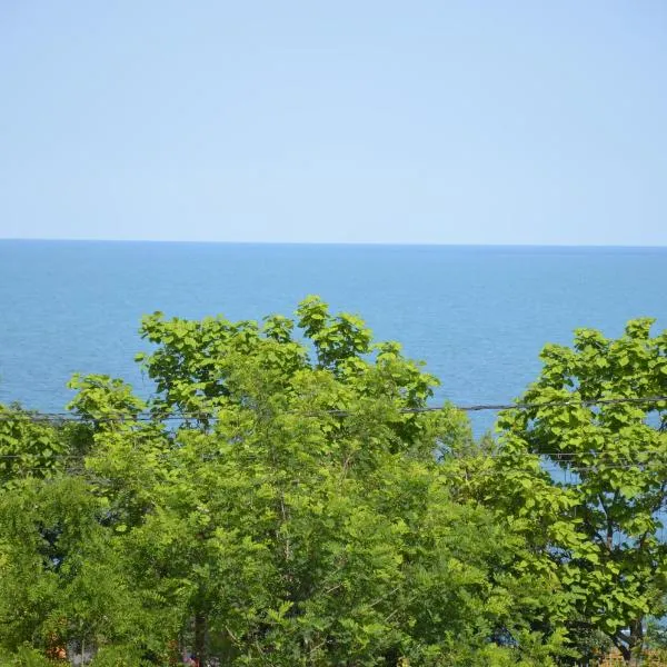 Razvan Holiday, hotel v destinaci Costineşti