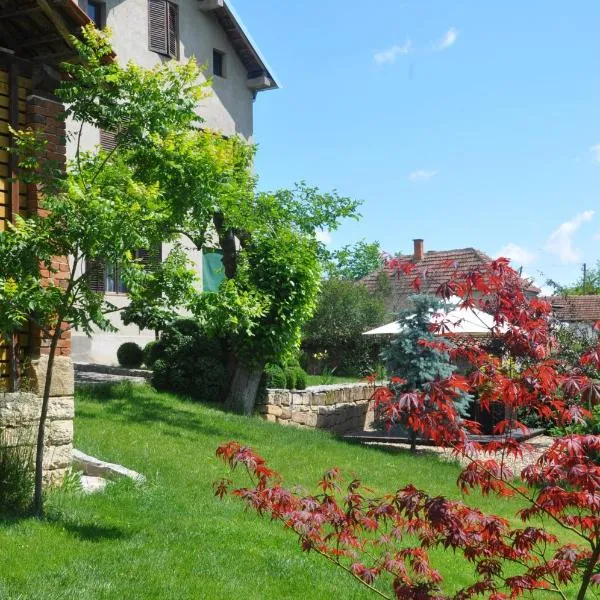 Guesthouse Djurić, hotel di Negotin