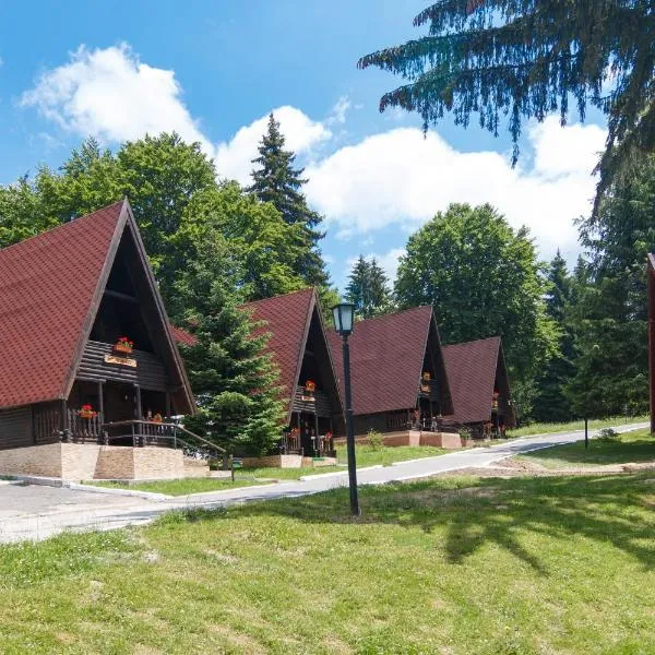 Centrul de Echitatie Poiana Brasov, hotel in Poiana Brasov