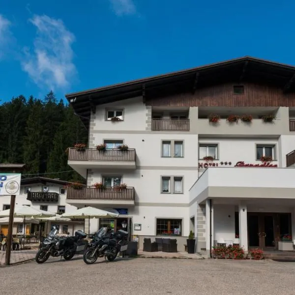 Hotel Paradiso, hotel v destinaci Sarnonico